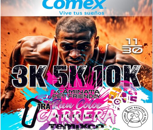 5K. GRUPO PIREMA, COMEX