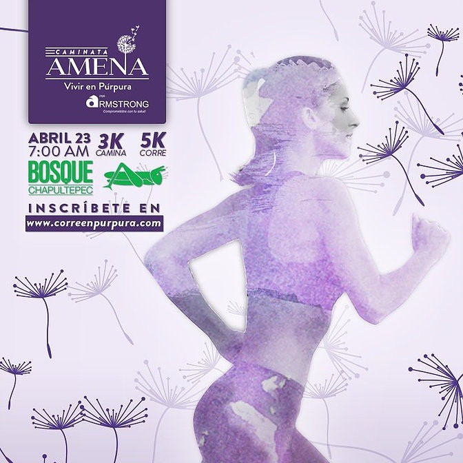 CAMINATA AMENA, 5K Y 3K EPILEPSIA CORRE EN PURPURA 5k y 3k por la EPILEPSIA