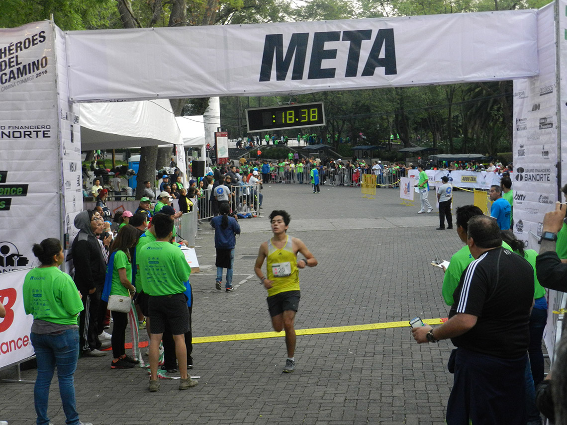 paco ibarra